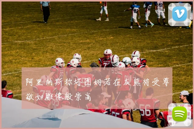 阿里纳斯称塔图姆若在灰熊将受尊敬如雕像般崇高