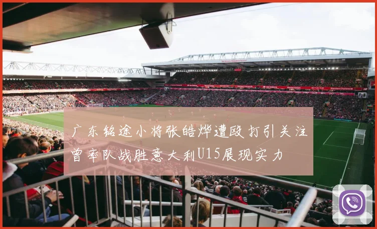 广东铭途小将张皓烨遭殴打引关注曾率队战胜意大利U15展现实力