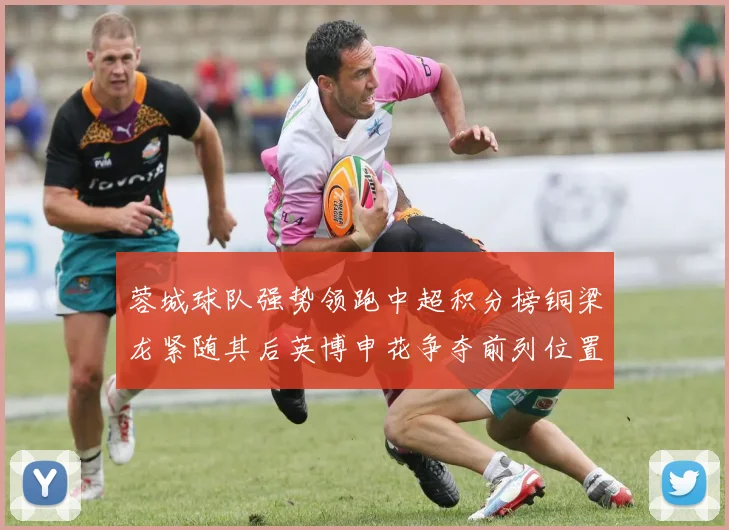 蓉城球队强势领跑中超积分榜铜梁龙紧随其后英博申花争夺前列位置